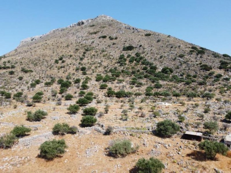 Kokkino Chorio 8.000 m² Grundstück in Kokkino Chorio zu verkaufen Grundstück kaufen